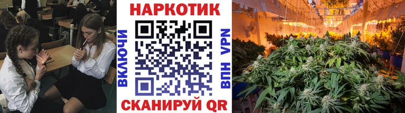 Как найти наркотики Алапаевск А ПВП COCAIN Меф мяу мяу Марихуана Амфетамин Псилоцибиновые грибы ГАШИШ