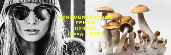 герыч Абаза