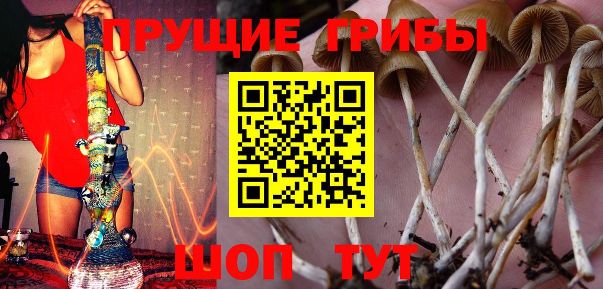 закладки  Галлюциногенные грибы ЛСД  Псилоцибиновые грибы Cubensis  Вход с VPN  Алапаевск 